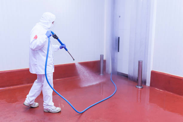 Best Warehouse Cleaning  in Harrisonville, MO