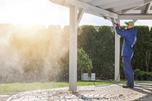 Best Fleet Vehicle Washing  in Harrisonville, MO
